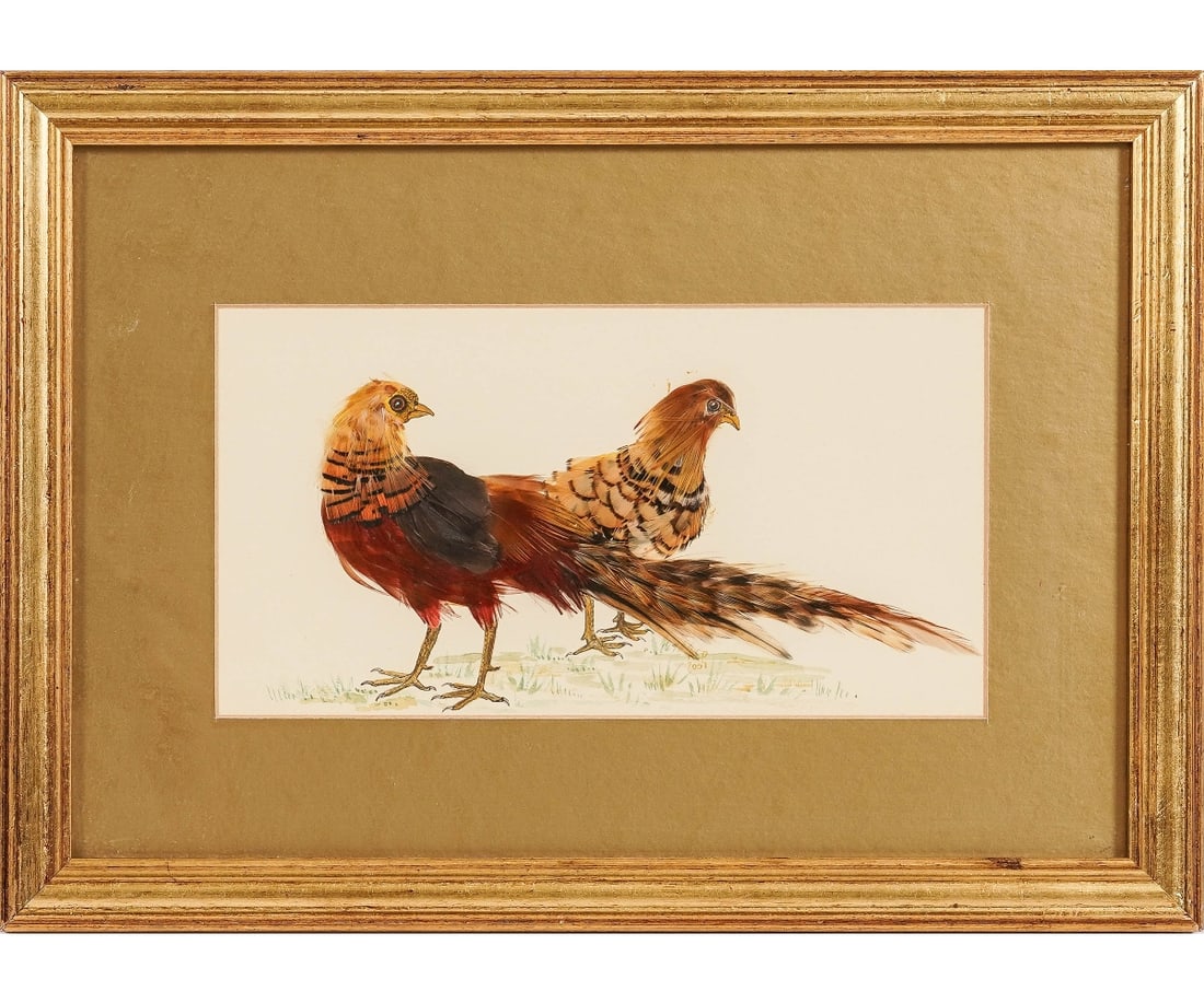 FEATHERWORK: Framed and matted featherwork of pheasants signed "ACP 2001" and mounted in a gilt frame. 5" x 9.25"ss / 10.25" x 14.5" oa