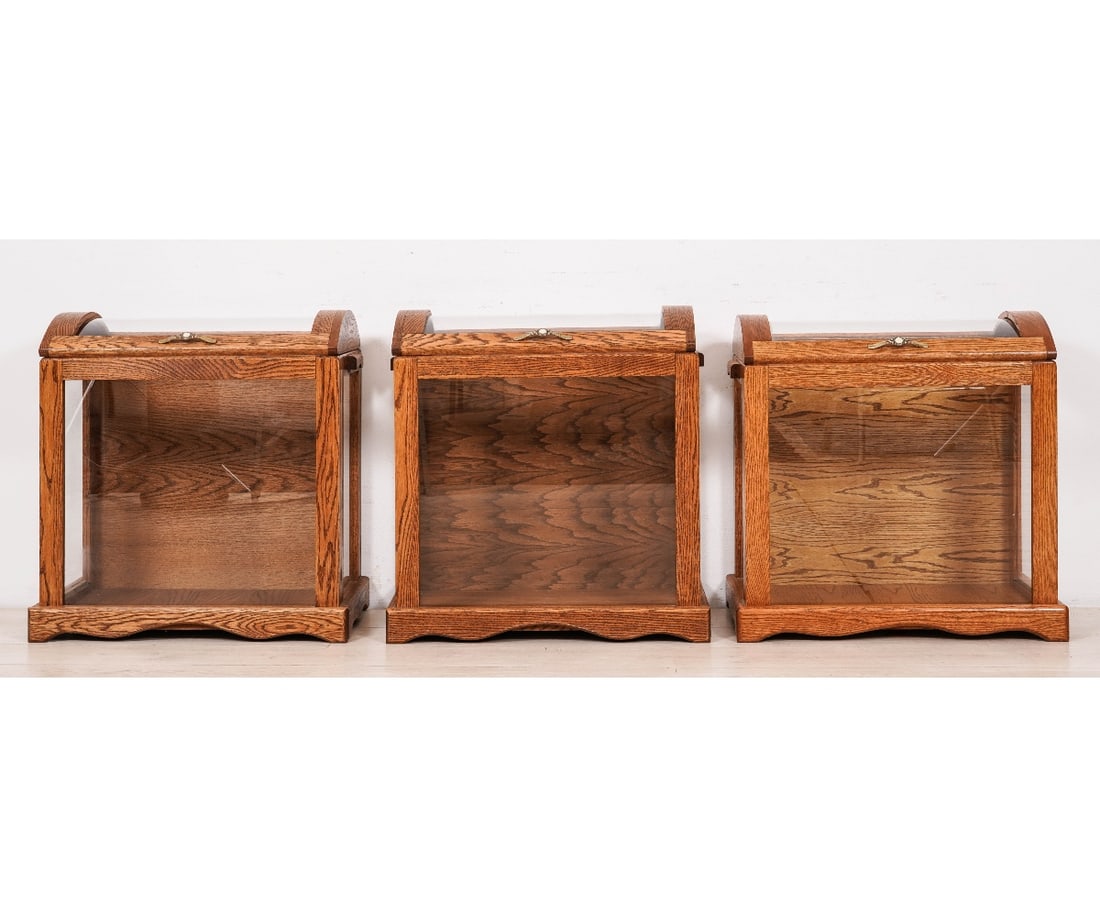 THREE QUILT DISPLAY CASES (1 of 9)