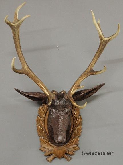 Black Forest carved stag head, late 19th c., with : Black Forest carved stag head, late 19th c., with glass eyes and horn antlers. 45”h.x26”w.x17”d.
