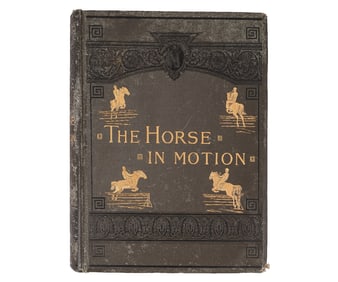 BOOK: THE HORSE IN MOTION