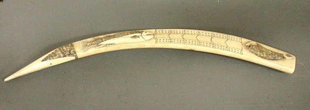 Large Inuit scrimshaw walrus tusk cribbage board with: Large Inuit scrimshaw walrus tusk cribbage board with incised decorations of various animals. 22.5"l.