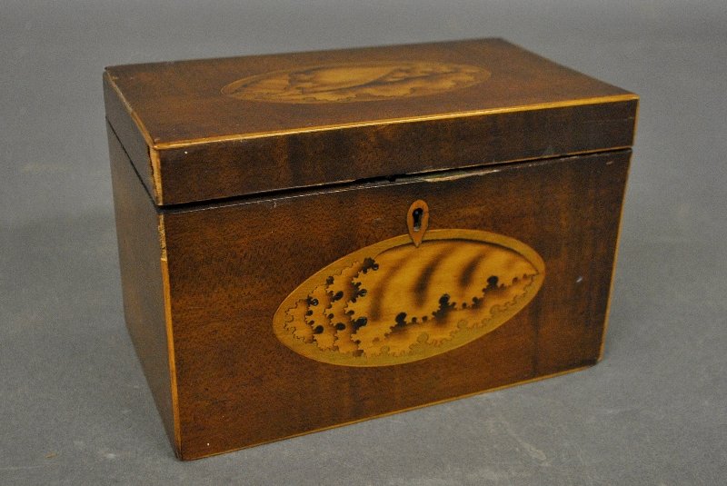 Georgian mahogany tea caddy, c.1790, with conch shell (1 of 2)