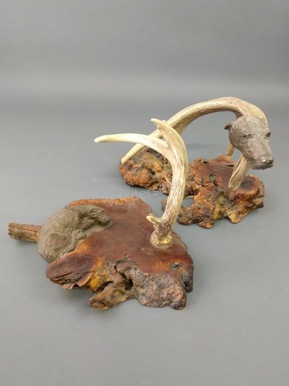Burlwood and Antler: Burlwood, antler and deer hound composition head, 10"h x 19"w, with another example.