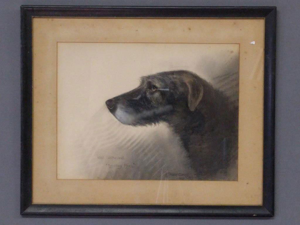 Reuben Ward Binks (1 of 4)