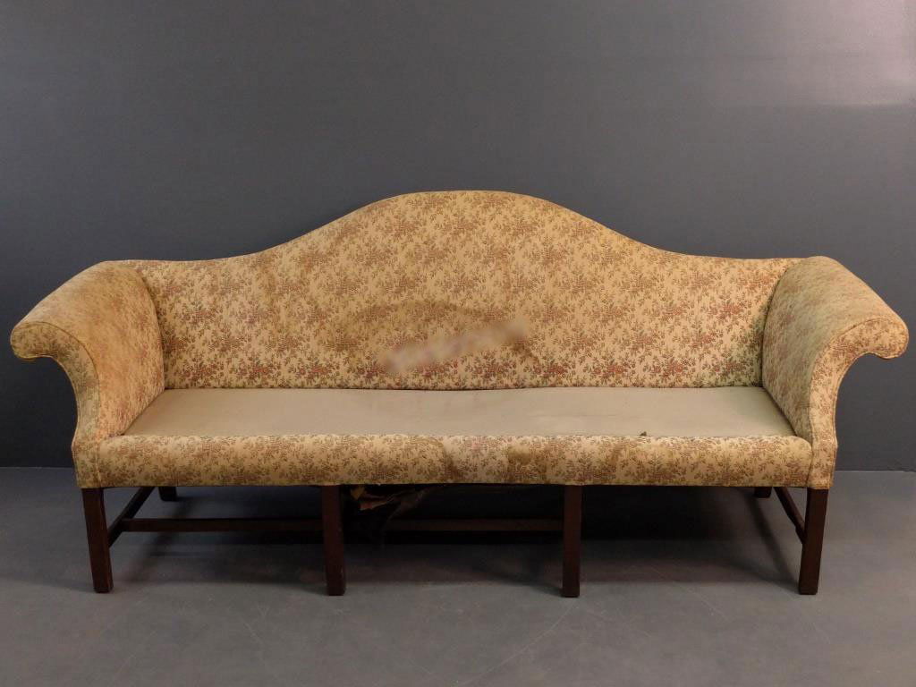 Mahogany Camelback (1 of 3)