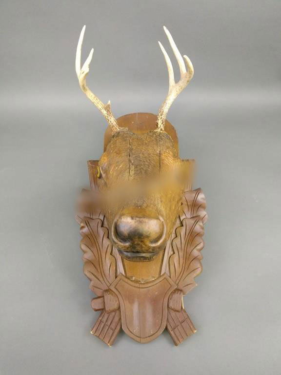Stag head (1 of 2)