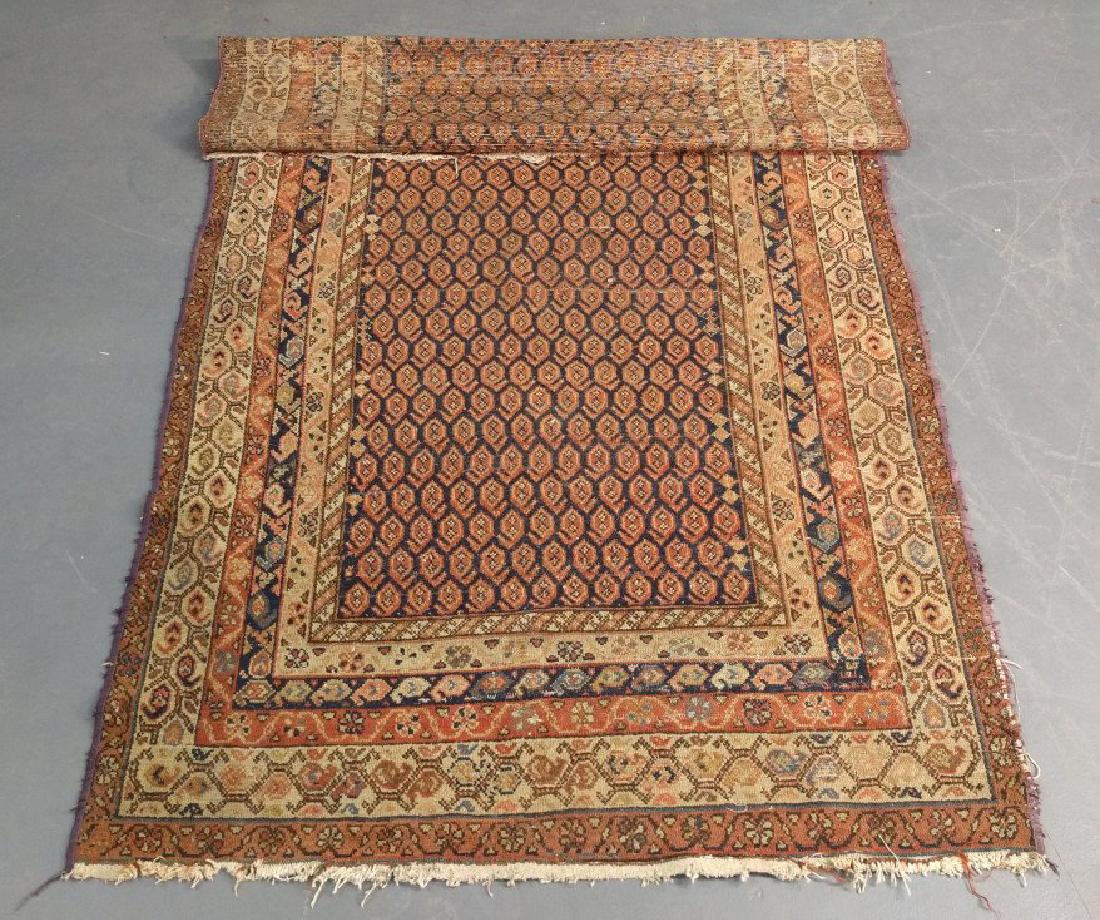 Tribal Saraband (1 of 2)