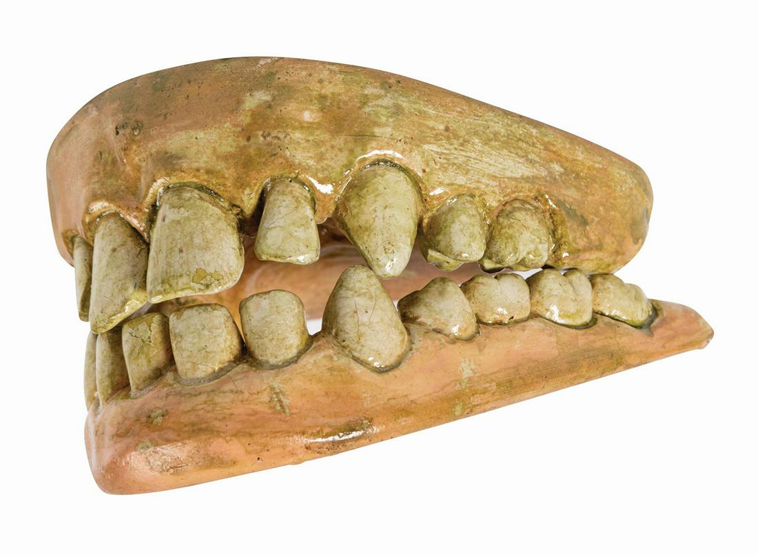 Harry and the Hendersons Plaster Teeth.: (Universal, 1987) A pair of plaster teeth used in the film Harry and the Hendersons. These teeth come from the test animatronic puppet version of Harry, who was portrayed both in that form and by a li
