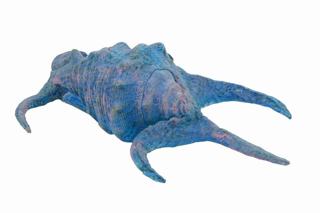 Submarine Voyage Spider Conch Shell Prop. (1 of 3)