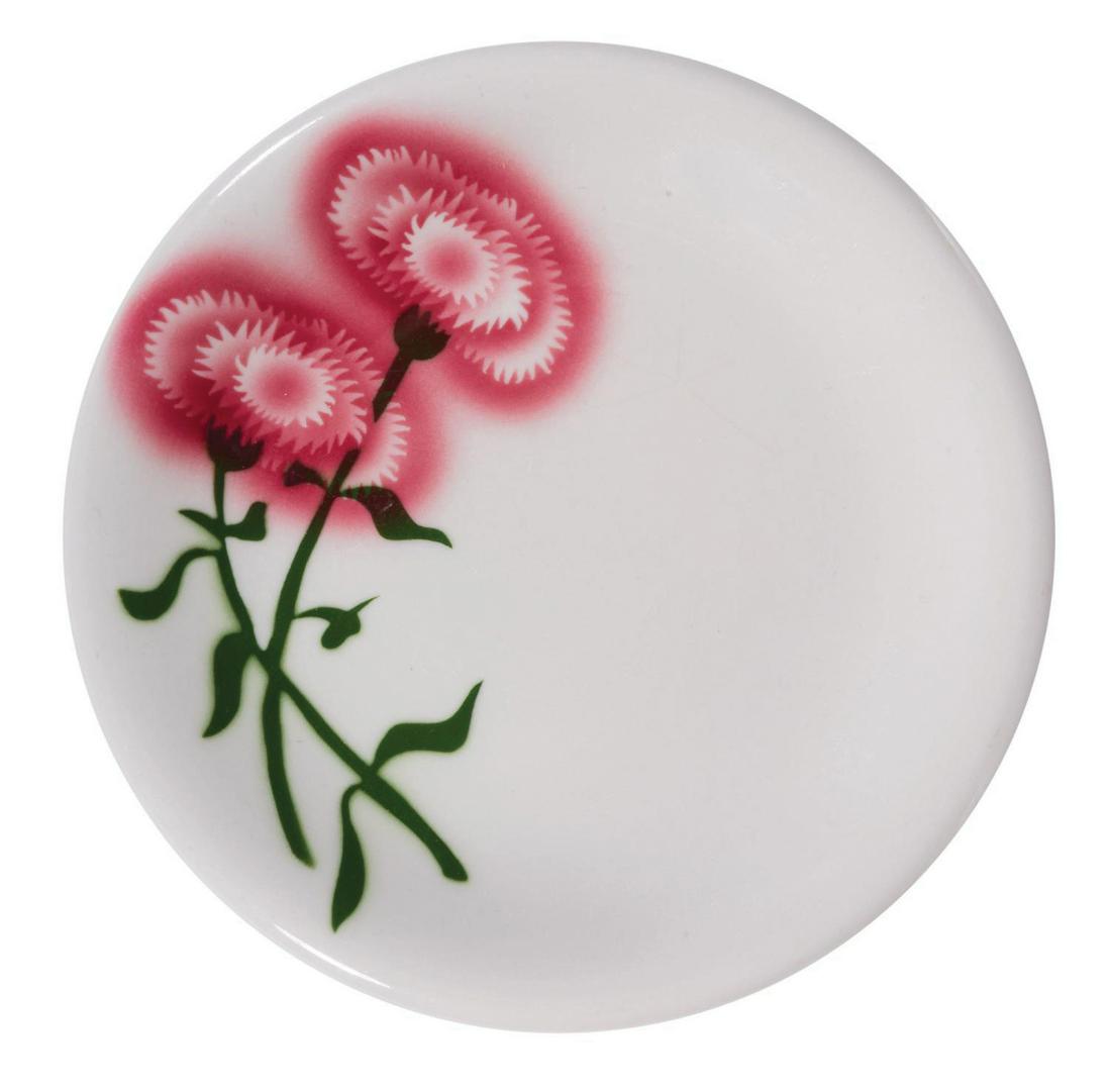 Carnation Ice Cream Parlor Restaurant Plate. (1 of 1)