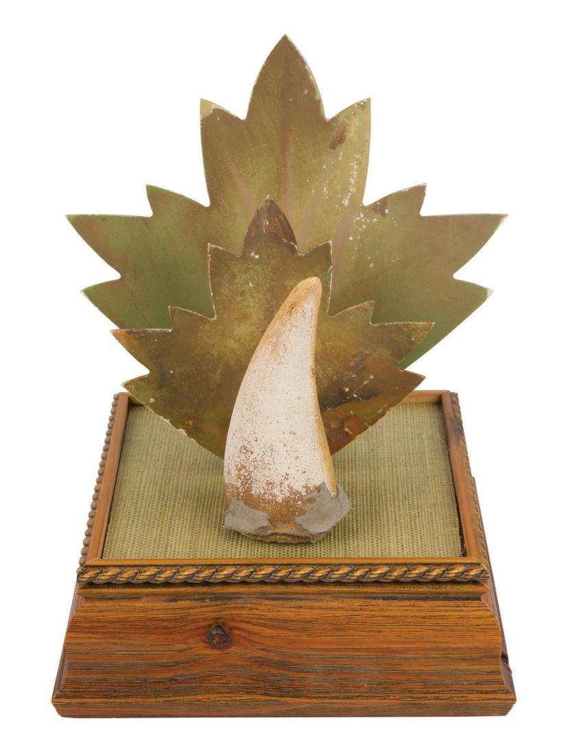 Disneyland Splash Mountain Thorn & Leaf Props. (1 of 5)