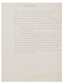 An "Adventures of the Bootle Beetle" Story Outline.