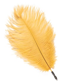 A Harry Potter Prop Quill.