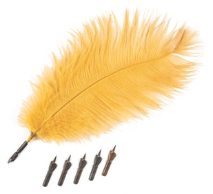 A Harry Potter Quill Prop with Five Nibs.