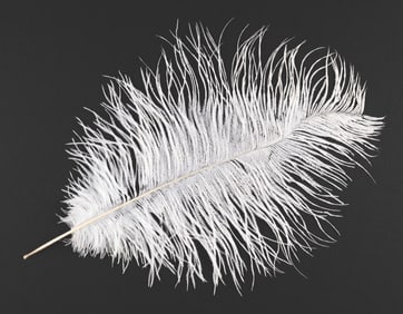 A Wingardium Leviosa Feather from Harry Potter.