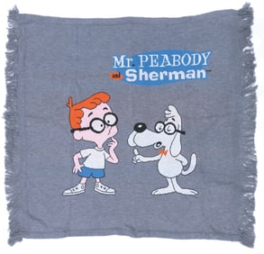 A Mr. Peabody and Sherman Blanket.
