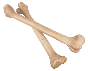 A Pair of "The Flintstones" Large Bone Props.