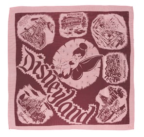 A Souvenir Disneyland Lands Scarf.