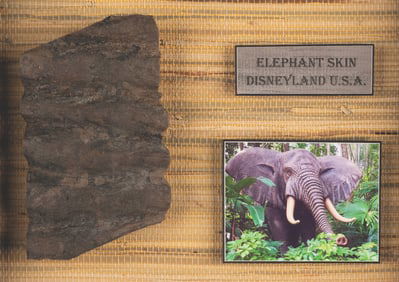A Disneyland Jungle Cruise Elephant Skin Segment.