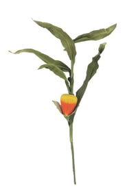 A Candy Corn Stalk Prop from Disney’s California Adventure.