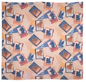 An All-Star Sports Resort Shower Curtain.
