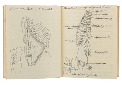 A Prop Frankenstein’s Journal from "The Bride."