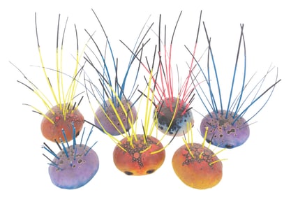 A Collection of "Amazing Live Sea Monkeys" Anemone Props.