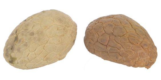 A Pair of "Critters 4" Crite Eggs.