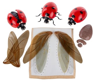 "Marcel the Shell with Shoes On" Ladybug Puppets and Parts.