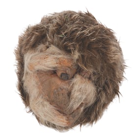 A Jim Henson "Alice in Wonderland" TV Movie Hedgehog Prop.