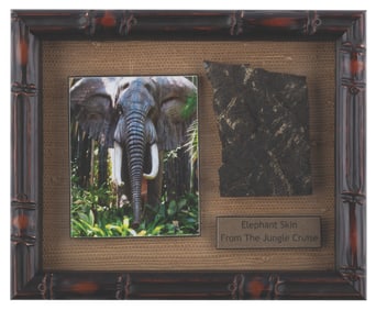 A Jungle Cruise Elephant Skin Prop.