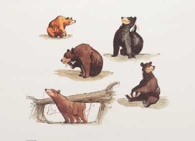 A Marc Davis Nature's Wonderland Concept Print.