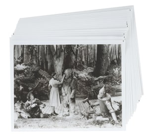 A Collection of "The Wizard of Oz" Publicity Photos.