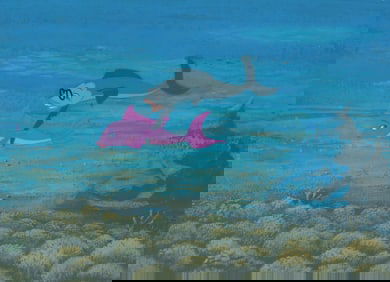 "The Incredible Mr. Limpet" Original Production Cel.