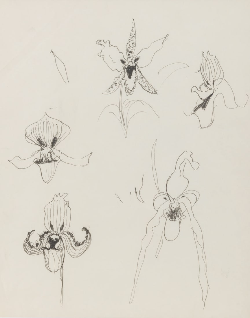 A Page of Marc Davis Enchanted Tiki Room Concepts. (1 of 2)