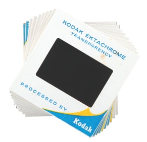 A Collection of Early Enchanted Tiki Room Slides.