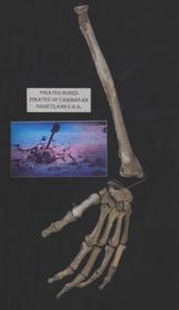 A Pirates of the Caribbean Skeleton Arm Prop.
