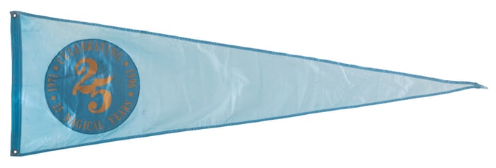 A Walt Disney World 25th Anniversary Celebration Flag.