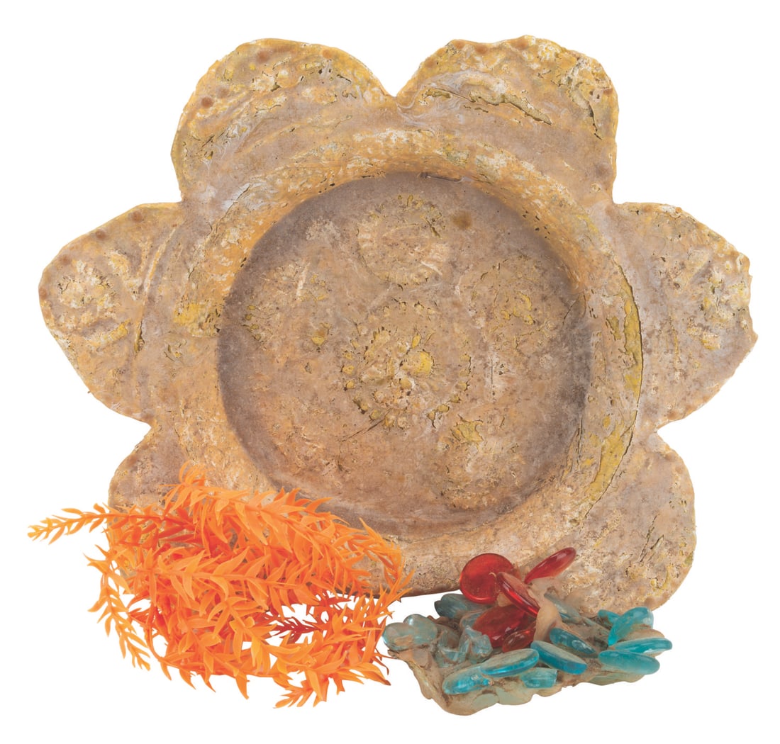 A Collection of 20,000 Leagues Submarine Voyage Props. (1 of 6)