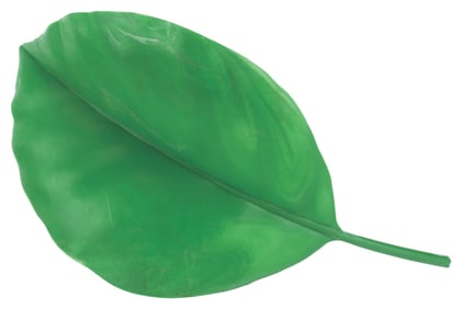 An Animal Kingdom Tree of Life Leaf Prop.