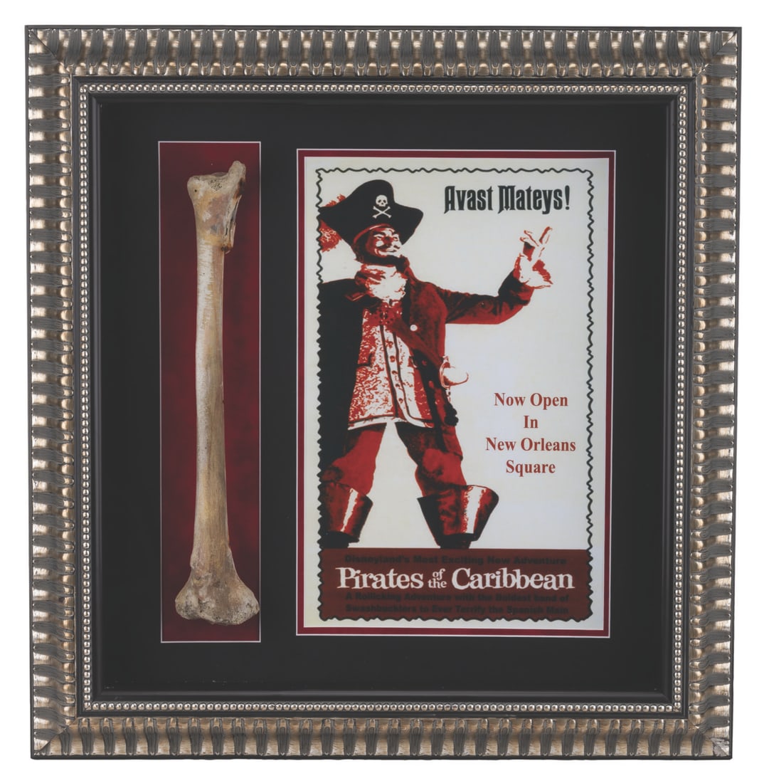 A Pirates of the Caribbean Prop Bone Display. (1 of 5)