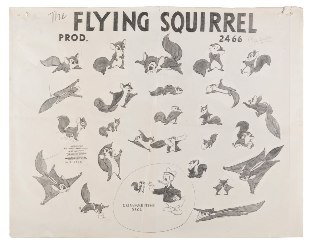 A "The Flying Squirrel" Model Sheet. (1 of 1)