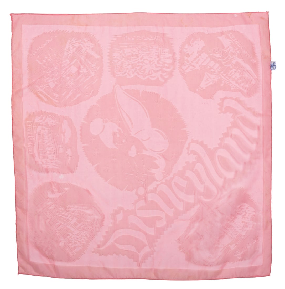 A Souvenir Disneyland Lands Scarf. (1 of 1)