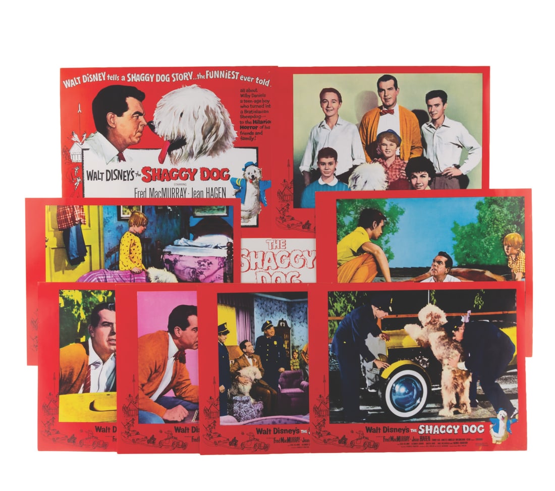 A Collection of "The Shaggy Dog" Lobby Cards.: (Disney, 1959) A set of eight lobby cards for "The Shaggy Dog" starring Fred MacMurray. Measuring 11" x 14" each, the lobby cards are in good to very good condition with scratches, creases, and edge