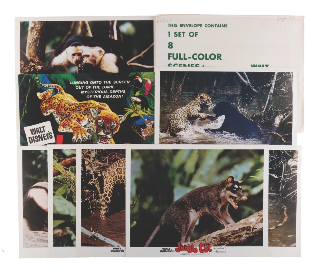 A Set of "Jungle Cat" Lobby Cards.: (Disney, 1960) A set of eight lobby cards for the documentary "Jungle Cat," the final True-Life Adventures film. Measuring 11" x 14" each, the lobby cards are in very good condition with light