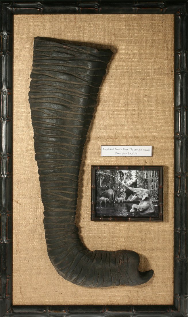 Original "Jungle Cruise" Elephant Trunk Prop.: (Disneyland, 1950s) Rare custom framed piece of an Elephant Trunk prop from the "Jungle Cruise" attraction. The trunk measures approximately 45" long and has been professionally mounted and framed alo