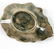Three Piece Antique Majolica Collection - 4