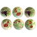 Six French Majolica Plates St. Clement Pottery
