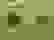 item-48097453=7
