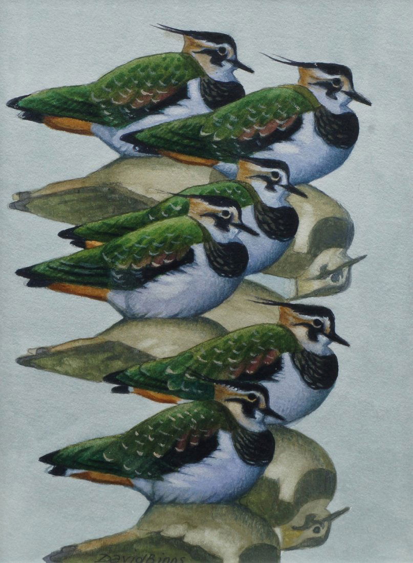 David Binns, British b.1935- ''Still Grey Morn'';: David Binns, British b.1935- ''Still Grey Morn''; watercolour over pencil, signed in pencil, 20x14.5cm, (may be subject to Droit de Suite) Exhibited: The Mall Galleries, London, Society of Wildlife Ar